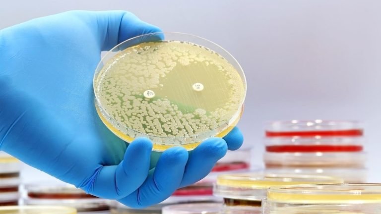 Incestflox: An antibiotic killing bacteria Incestflox: An antibiotic killing bacteria